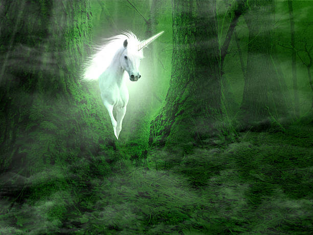 fantasy hintergrund mit einhorn im wald - dreams heaven cloud fairy tale stock-fotos und bilder