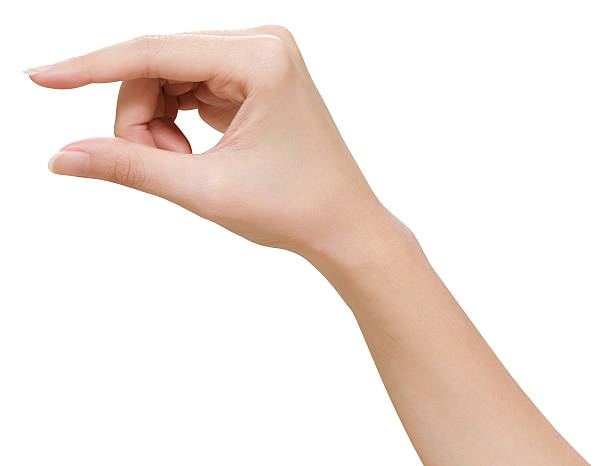 istock Woman hand holding 531714450
