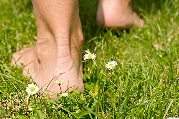 istock Woman legs walking on green grass 531714748