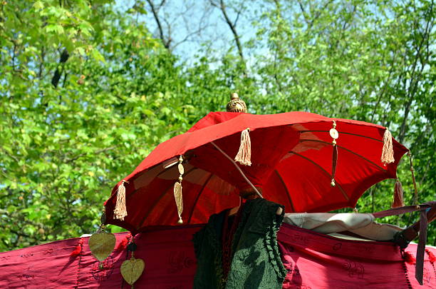 istock oriental umbrellas as decoration 531715064