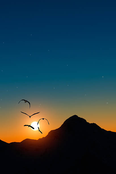 istock Herons in flight at sunset in the mountains 531721419