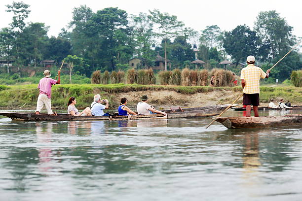 Tourists on rowboats. Chitwan-Nepal. 0933 Chitwan, Nepal - October 14, 2012: Tourists with boatmen on wooden rowboats going up the Rapti river coming back from visiting the Gharial -gavialis gangeticus- Conservation Program facilities in the in the bufferzone off the Chitwan Nnal.Park on October 14, 2012 in Chitwan distr.-Narayani zone-Nepal chitwan national park photos stock pictures, royalty-free photos & images