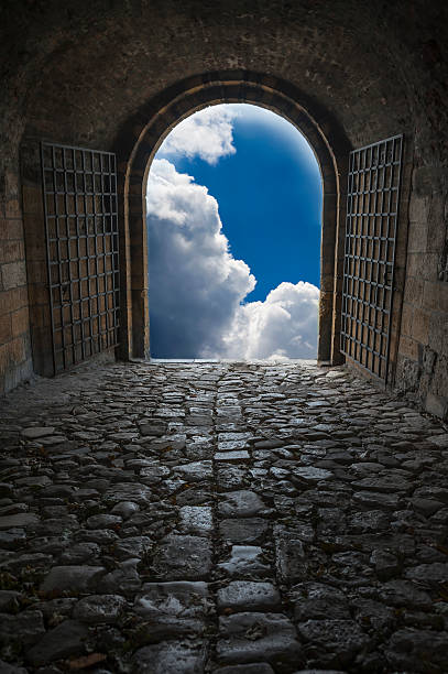 istock Mysterious entrance to new life or beginning 531724501
