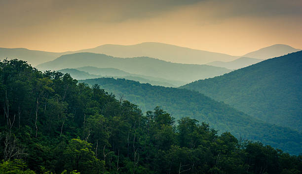 The Blue Ridge Mountains, seen from Skyline Drive in Shenandoah The Blue Ridge Mountains, seen from Skyline Drive in Shenandoah National Park, Virginia. skyline drive virginia photos stock pictures, royalty-free photos & images