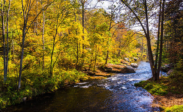istock The Gunpowder River, in Baltimore County, Maryland. 531726751
