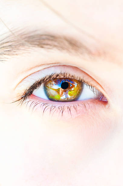 istock Photographer portrait reflection in open human eye 531727015