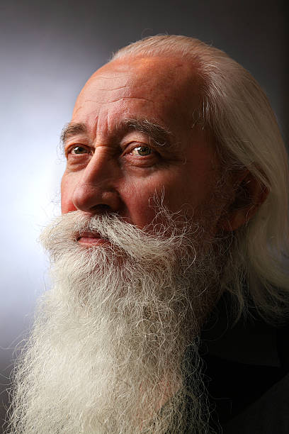 istock The  portrait of the sage 531733749