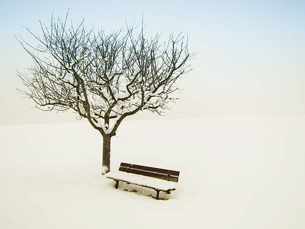 istock wonderful winter landscape 531734045