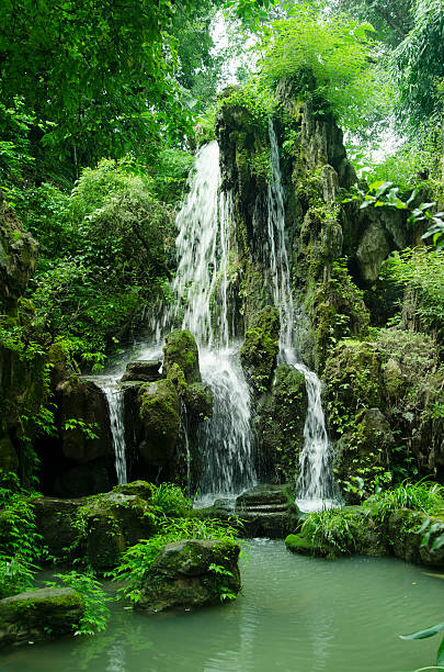 cascade dans le jardin - tropical climate waterfall formal garden ornamental garden photos et images de collection