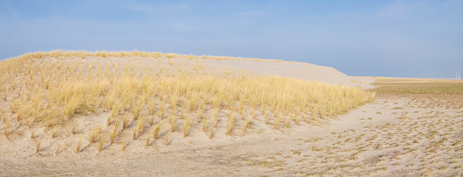 sand dunes with grass on the 2nd Maasvlakte in Rotterdam, a new part of the Rotterdam harbor area, opened in May 2013
