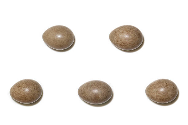 istock The eggs of the Sedge Warbler 531740467