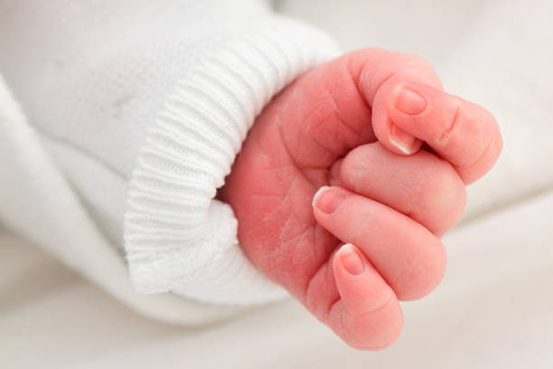 Hand of a newborn baby with small fingers and nails