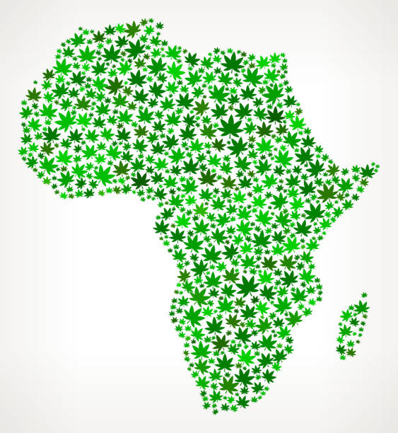 istock Africa Map royalty free vector Marijuana Leaves Weed graphic 531753957