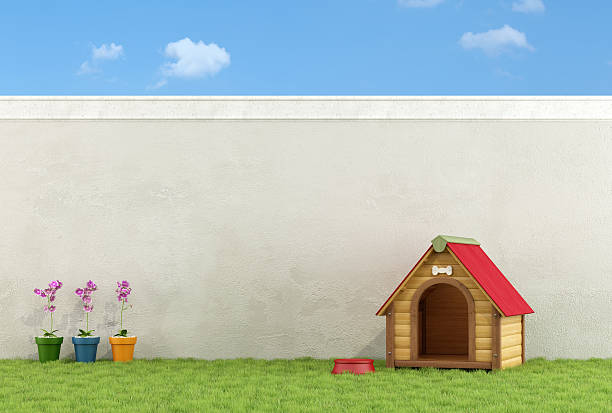istock Dog's house in the garden 531754449