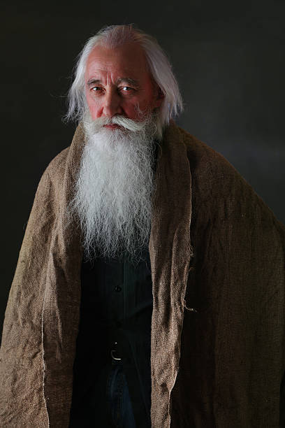 istock The  portrait of the sage 531755105