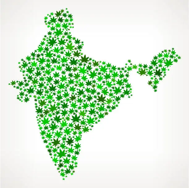 Vector illustration of India Map royalty free vector Marijuana Leaves Weed graphic