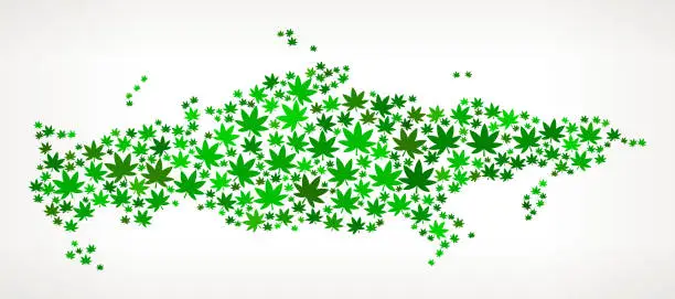 Vector illustration of Russia Map royalty free vector Marijuana Leaves Weed graphic