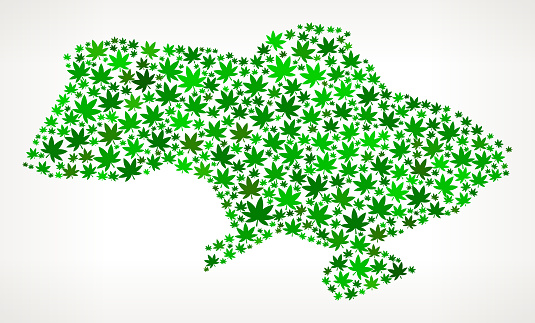 Ukraine Map royalty free vector Marijuana Leaves Weed interface icon pattern. The illustration features vector arts of green weed and marijuana leaves. The cannabis marijuana leaves vary in size and shades of green color and are on white background. Icon download includes vector art and jpg file.