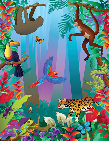 Amazon rainforest animals vertical jungle scene with many creatures