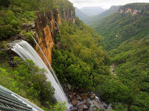 balcón con vista al jardín botánico fitzroy falls - rainforest waterfall australia forest fotografías e imágenes de stock