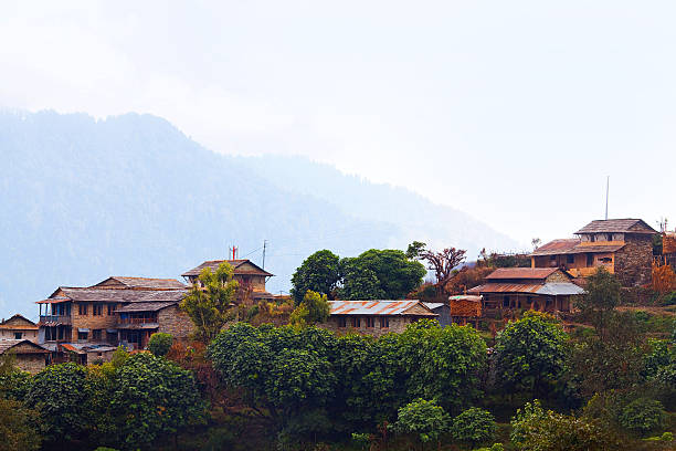 ghandruk village, nepal - nepal landscape hiking rice imagens e fotografias de stock