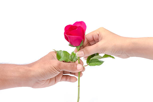 istock Women's hand carry rose in men's hand. 531759569
