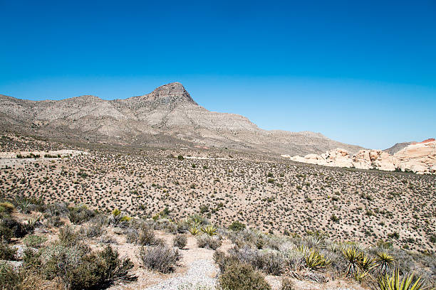 istock Red Rock Canyon, Nevada 531770891