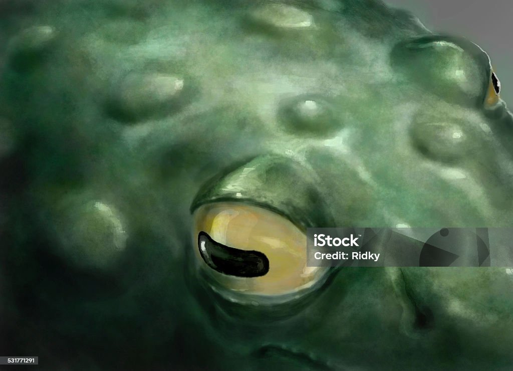 Frog Hand drawn image of a frog's yellow eyes and green back detail. 2015 stock illustration