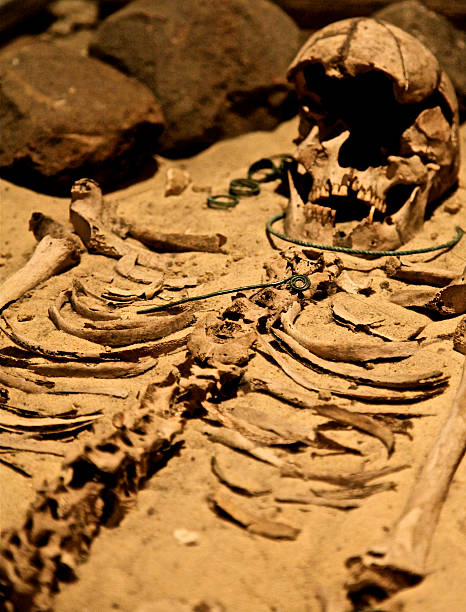 istock Archelogy. Ancient human skeleton and jewelry from archaeological dig. 531772185