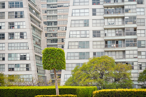 Photo of apartment buildings and trees in the Polanco neighborhood of Mexico City, Mexico.