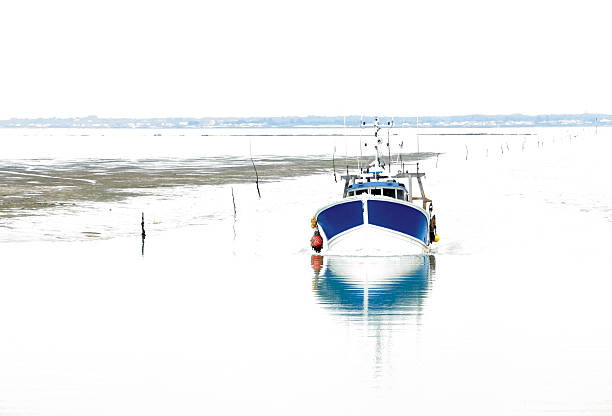istock Trawler return from fishing 531772653
