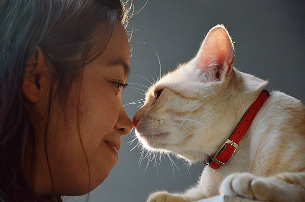 woman and cat  nose collision