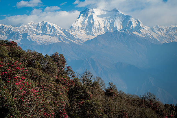 istock Dhaulagiri (8,167 m) the 7th highest mountain in the world 531773686