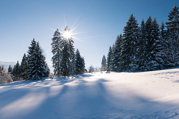 istock idyllic winter snow landscape with forest and sun beams 531773805
