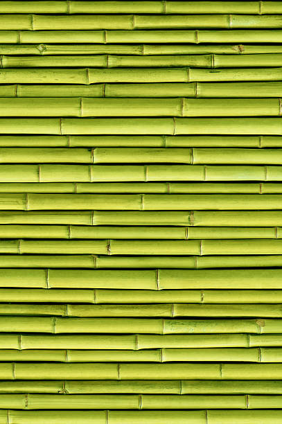 istock green bamboo fence background 531773964