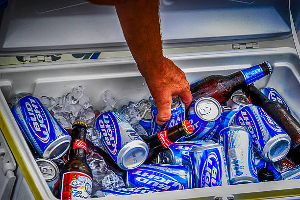 latas y botellas de cerveza budweiser semáforo en una caja de regalo. - budweiser fotografías e imágenes de stock