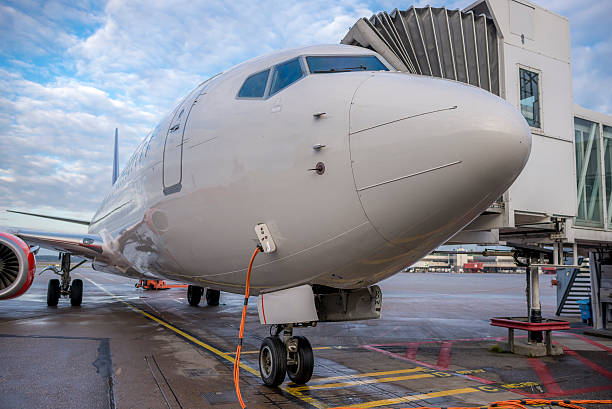 istock Commercial airplane at the gate 531775031