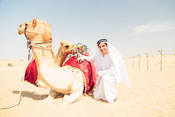 Abu Dhabi, UAE - Dec 15, 2017: Old man riding his camel in the desert during Al Dhafra camel festival.