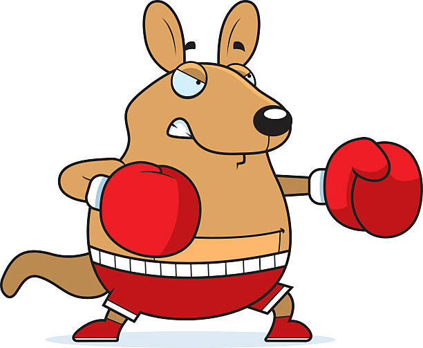 Cartoon Wallaby Boxing A cartoon illustration of a wallaby punching with boxing gloves. kangaroos fighting stock illustrations