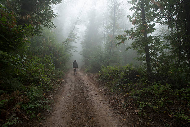 Woman walking through misty forest stock photo