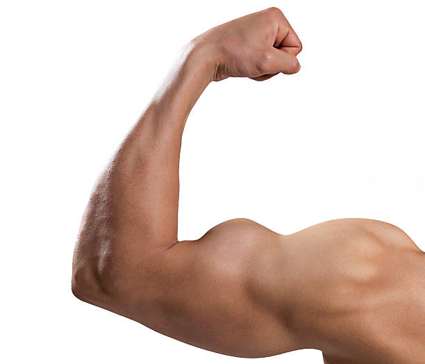 istock Close up of man's arm 531777552
