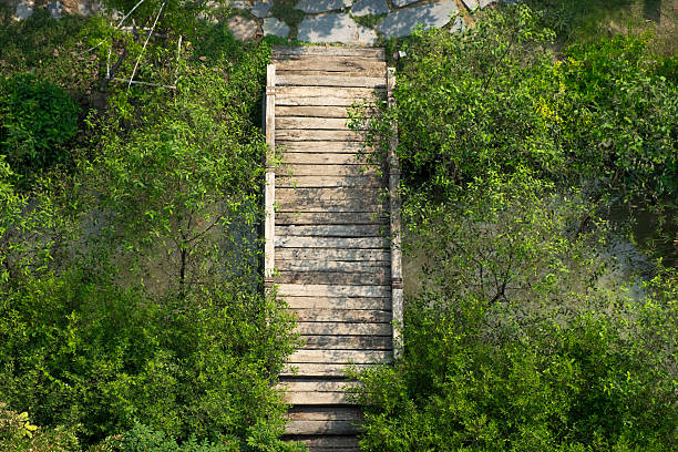 istock old wood bridge in forest nature on top view 531778048
