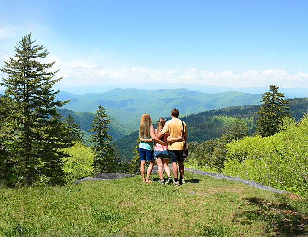 istock Family hiking in summer mountains. 531779748