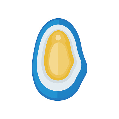 Shellfish Cartoon Image Yellow Shellfish Vector Cartoon Stock Illustration - Download Image Now ...