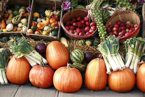 Pumpkins and gourds on display outdoors at farmer's market.