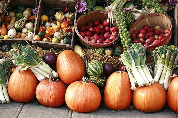 Pumpkins and gourds at farmer's market. Pumpkins and gourds on display outdoors at farmer's market. agricultural fair photos stock pictures, royalty-free photos & images
