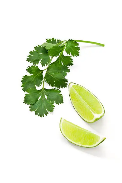 Fresh organic cilantro twig with two lime pieces isolated on white background