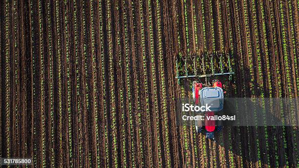 Photo libre de droit de Tracteur Cultiver Domaine De Printemps banque d'images et plus d'images libres de droit de Agriculture - Agriculture, Planter, Champ