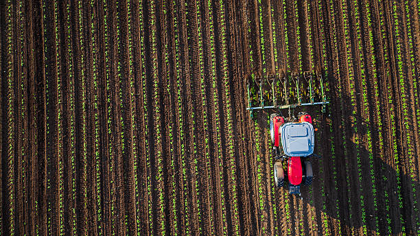 tractor cultivating field at spring - 耙 農業器材 個照片及圖片檔