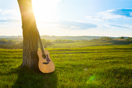 classical guitar propped against a tree trunk in the background grass